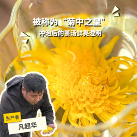 生态金丝皇菊 | 合作生产 *Eco-Golden Chrysanthemum | Coproduction