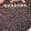 【自营】九月穰菜籽油1.8L/5L 商品缩略图1