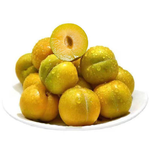新鲜水果 肉厚核小金丝蜜李子  500g 商品图0