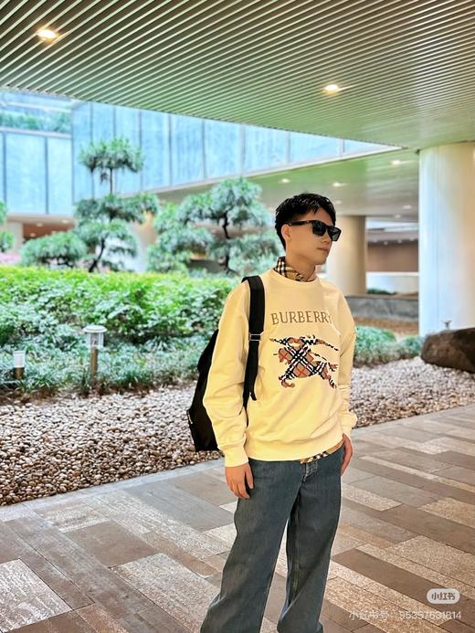 B家 25秋冬新款十字刺绣大战马圆领卫衣 Z-15546 商品图2