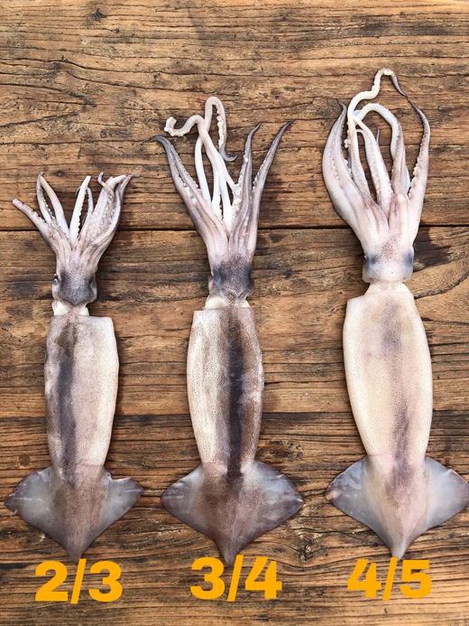 【顺丰包邮】无保水剂品质深海鱿鱼（去内脏）无浸泡无冰衣保持原色肉特别厚实而且弹性很好京东干冰发货基地直邮 商品图9