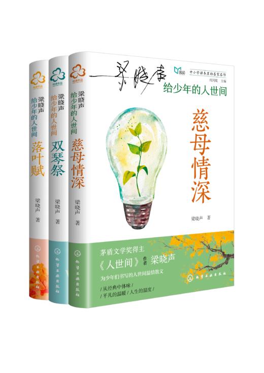 【社群版】梁晓声给少年的人世间多规格 商品图5