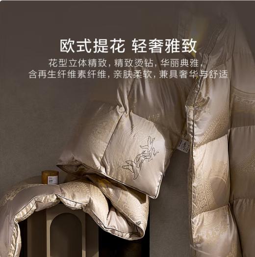 罗莱家纺轻奢提花波兰进口95白鹅绒冬被二合一被 二合一被 200cm*230cm 商品图1