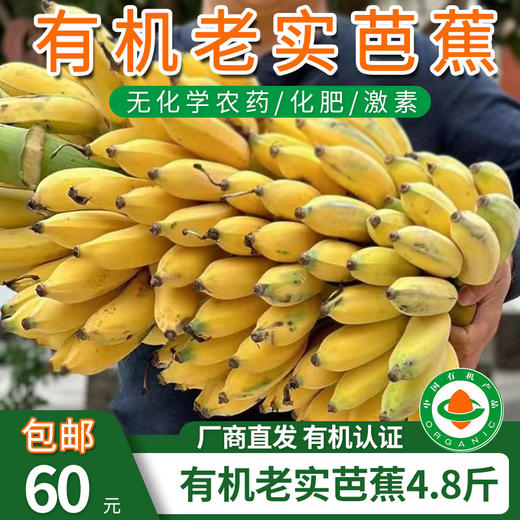 【厂商直发】云南有机老实芭蕉3斤/4.8斤装口感香甜软糯包邮 商品图0