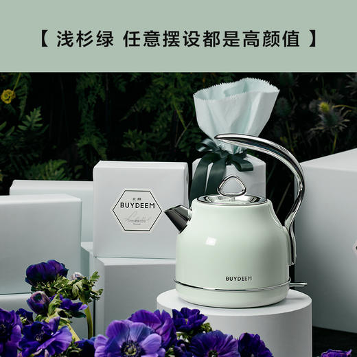 6F 北鼎 K203/006/浅杉绿 商品图0