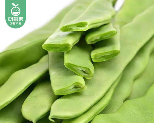 【叼鲜蔬】漳州新鲜大扁豆/1份（约400g） 商品图1