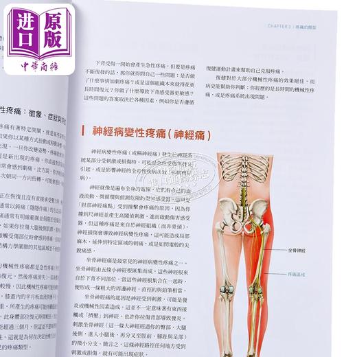 【中商原版】从辨伤到解痛 聆听身体讯号 以复健科学和运动处方打破疼痛与反覆受伤的无助循环 汤姆 沃尔特斯 大家出版 港台原版 商品图3