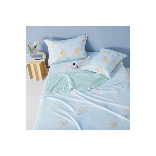 博洋家纺博洋夏凉被—晕染玫瑰150*210cm （YI）W924132203128 商品图2