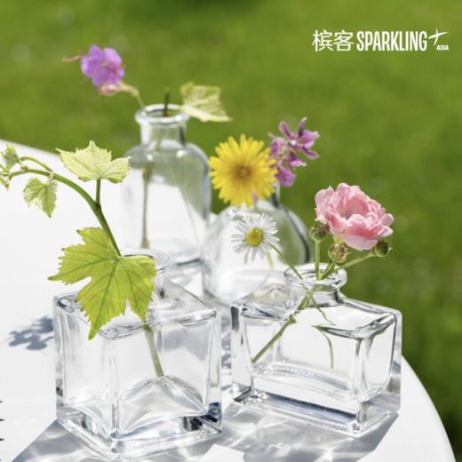 Louis Roederer Brut Vintage Rosé 2017 路易王妃珍藏玫瑰桃红香槟 2017 商品图1