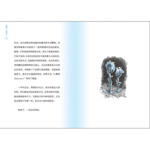 【魔法象·新书】西魔女之死 | 果妈阅读主题书单 商品图5