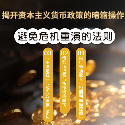 失控的炼金术：货币政策与通胀危机 商品图3