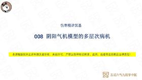 008  阴阳气机模型的多层次病机