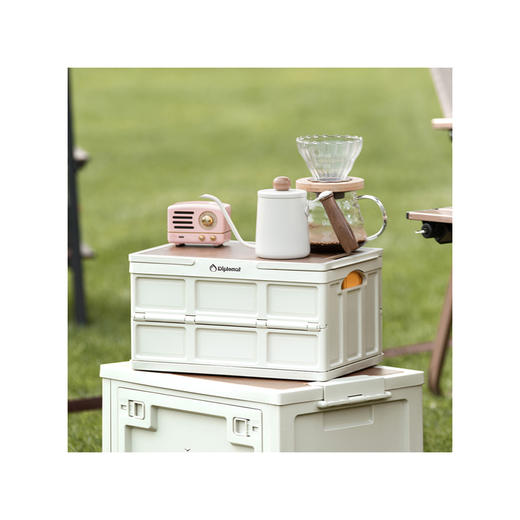 外交官 手提折叠收纳箱DFJ-1101 商品图1