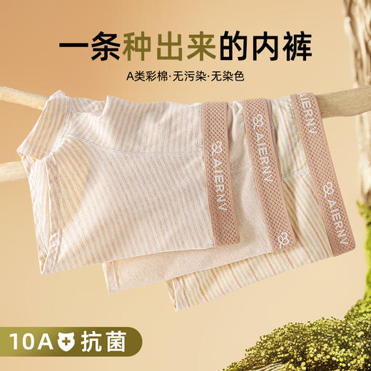 老米优品🎈春节不打烊！【4条装】10A抗菌，《青少年A类彩棉发育期内裤》男孩儿童发育期纯棉短裤1，天然彩棉透气平角裤 ~ 商品图7
