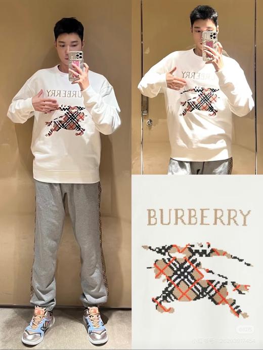 B家 25秋冬新款十字刺绣大战马圆领卫衣 Z-15546 商品图0