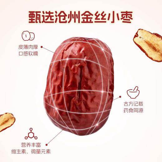 【送玻璃充电搅拌杯】九阳豆浆低嘌呤早餐红枣豆浆粉 高膳食纤维营养早餐 商品图5