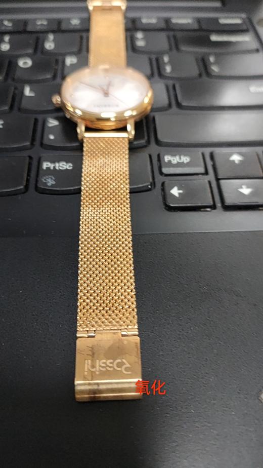 6938518318468 罗西尼ROSSINI小雏菊女士石英手表517776 【没电】 商品图11