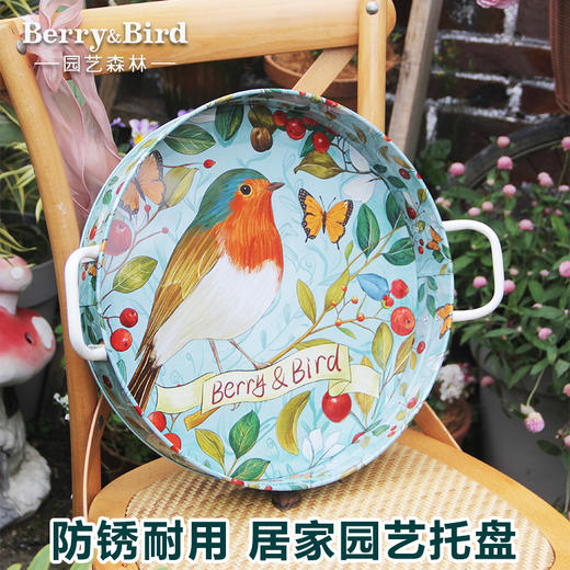 【云优选】Berry&Bird园艺托盘（知更鸟/向日葵） 商品图0