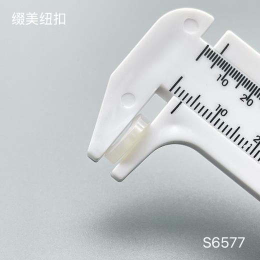 S6577(整包购买) 商品图4