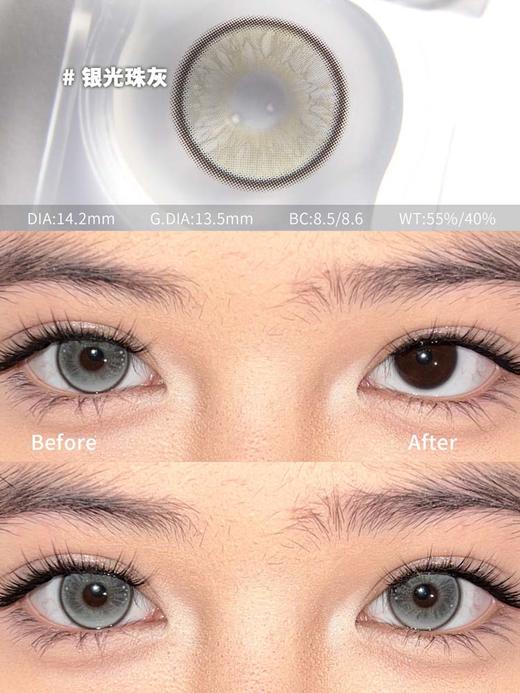 Serltyca 日抛 六片 银光珠灰 直径14.2mm着色13.5mm 商品图1