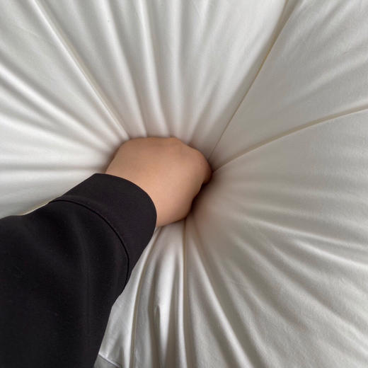 LHX4858 日本1899酒店枕芯 商品图7