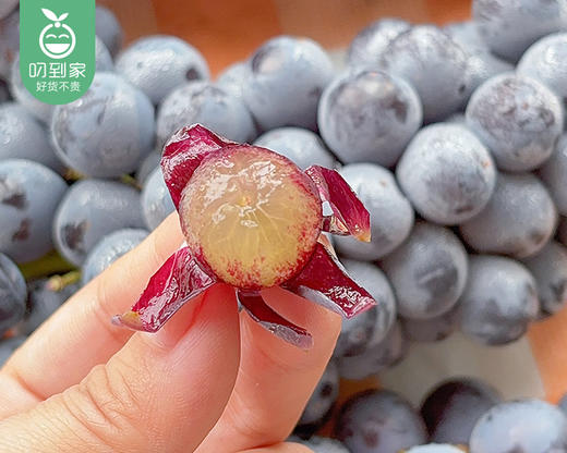 云南蓝莓葡萄礼盒/1箱（1.25kg±100g） 商品图3