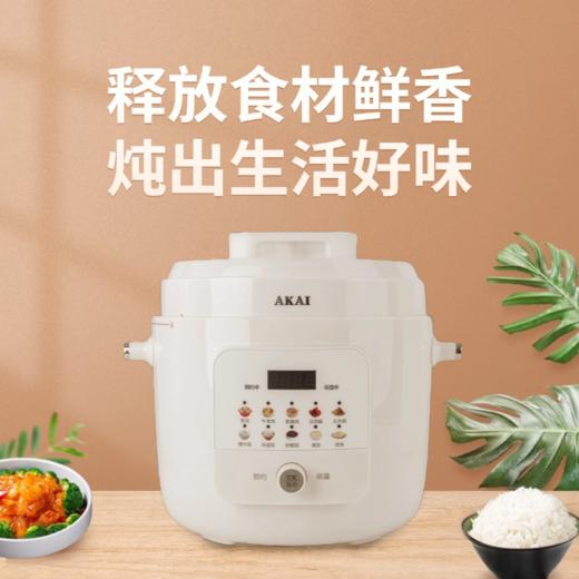 雅佳AKAI电压力锅AYL-60A1B 商品图3
