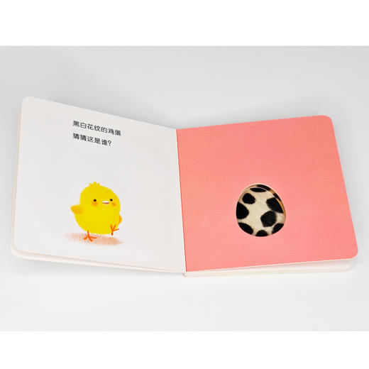 《小鸡球球触感玩具书》（全5册） 商品图5