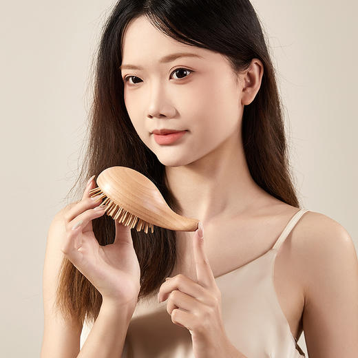 初心| 小海豚气垫梳榉木 商品图2