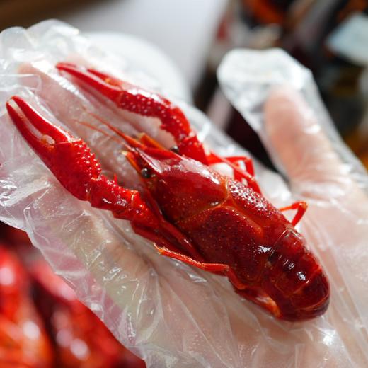 袁小美醉香小龙虾，壳薄个头大，肉质鲜嫩紧实，解冻即食 商品图9