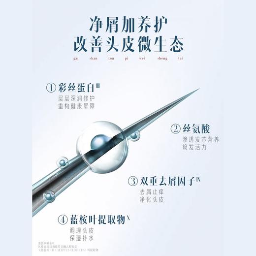 拉芳氨基酸彩丝蛋白柔顺护理洗发露 400ml/瓶 商品图2