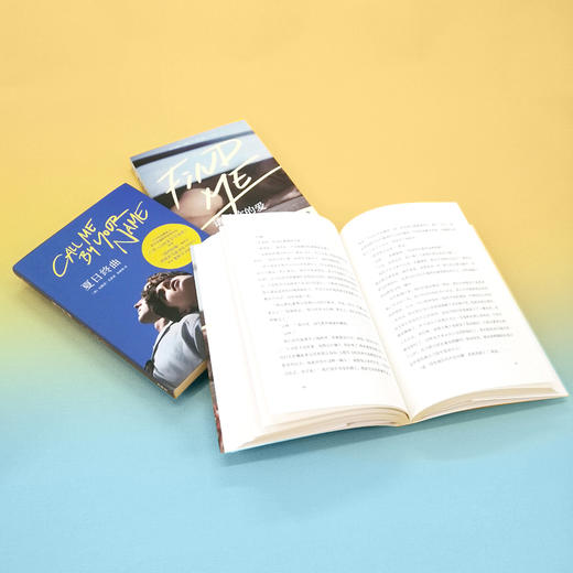 请以你的名字呼唤我（夏日终曲+请以你的爱找寻我）（套装共2册） 商品图7