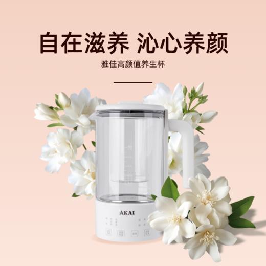 雅佳AKAI养生杯AYB-06A1B 商品图2