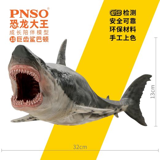 PNSO恐龙大王成长陪伴模型10巨齿鲨巴顿 商品图2
