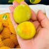 新鲜水果 肉厚核小金丝蜜李子  500g 商品缩略图1