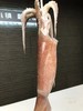 【顺丰包邮】无保水剂品质深海鱿鱼（去内脏）无浸泡无冰衣保持原色肉特别厚实而且弹性很好京东干冰发货基地直邮 商品缩略图5