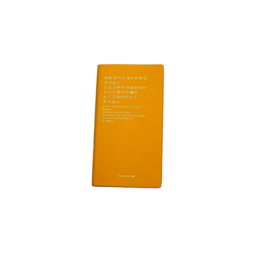 彩色的诗笔记本-橙色 商品图0