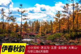 秋韵小兴安岭摄影6天:伊春·茅兰沟·五营·金祖峰·大箐山·乌带公路