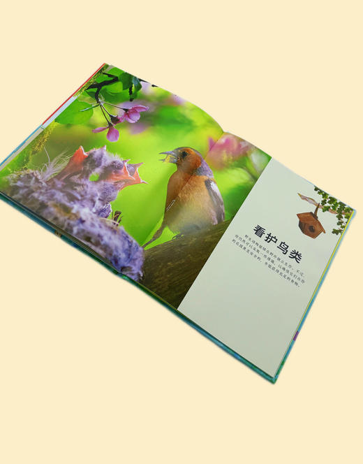 DK给孩子的观鸟手册 商品图1