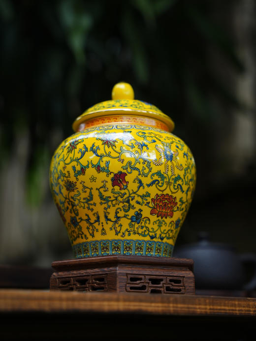 8月6日中午12点【高端款--天门山单株龙珠】宣哥豪情防漏，2022年天门山头春挑采5棵树 宣哥亲上山挑选，只选天门山最优地块，300克/罐，拍5罐发6罐 商品图7