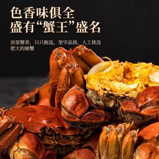【大闸蟹卡券❗️9月下旬开湖兑换】阳澄湖大闸蟹，肉质饱满嫩滑，满载江南美食之味。口感鲜美爽滑，营养丰富滋味浓郁。售后质量全保障，中秋送礼佳品，阳澄湖基地直发，爆品爆款礼盒套装L 商品图2