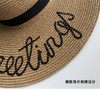 壁虎瑜伽【2508PJ398】夏季沙滩大帽檐草帽【5天发货】 商品缩略图3