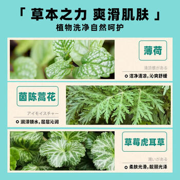 巴斯克林日本进口舒和沐浴露男女香体二合一持久留香清爽薄荷香型 600ml /个人护理 /身体护理 /沐浴露 商品图4