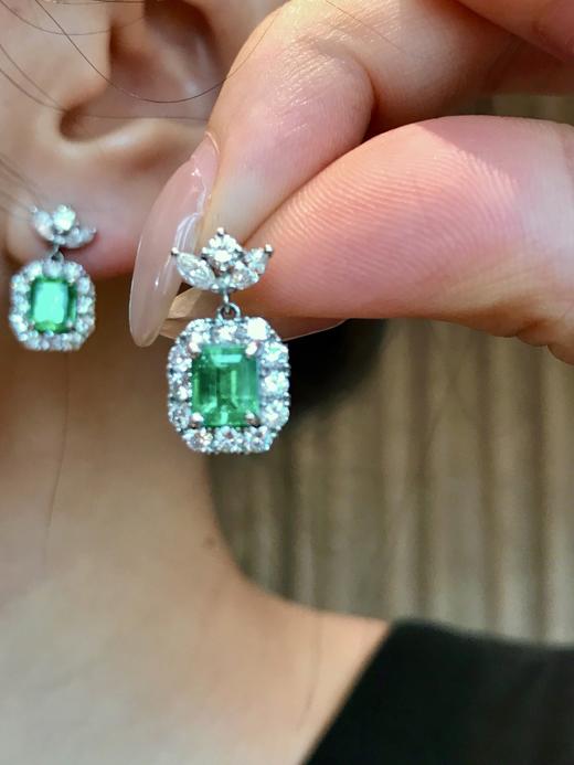 1.579ct刻面祖母绿耳坠 商品图5