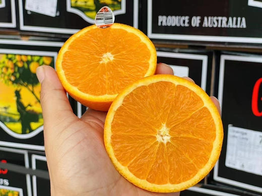 澳橙🍊 口感精选！橙味浓郁，微酸，果肉细腻无渣。补充维C，好吃还好喝🍹 商品图0