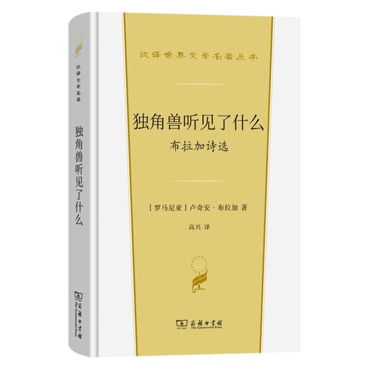 独角兽听见了什么：布拉加诗选(汉译世界文学名著6) 商品图0