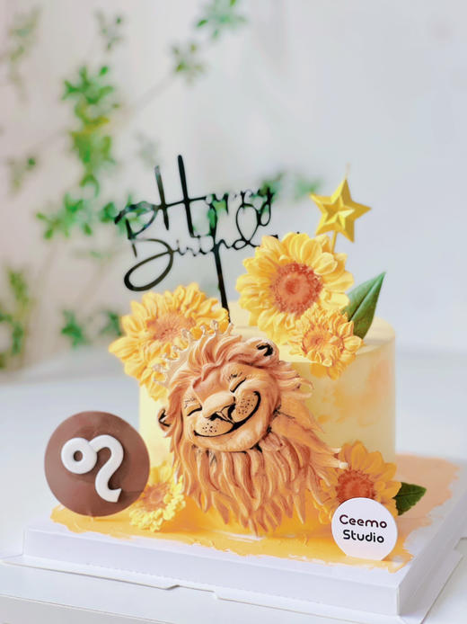 阳光小狮子 商品图1