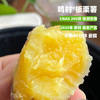 [最农公社]双12|精品红薯临安精品小香薯红薯免洗恒温糖化工厂定制清甜无丝适合水煮 商品缩略图1