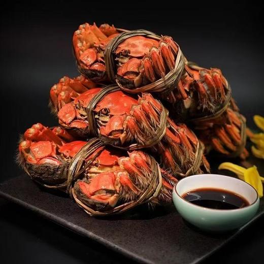 【大闸蟹卡券❗️9月下旬开湖兑换】阳澄湖大闸蟹，肉质饱满嫩滑，满载江南美食之味。口感鲜美爽滑，营养丰富滋味浓郁。售后质量全保障，中秋送礼佳品，阳澄湖基地直发，爆品爆款礼盒套装L 商品图3