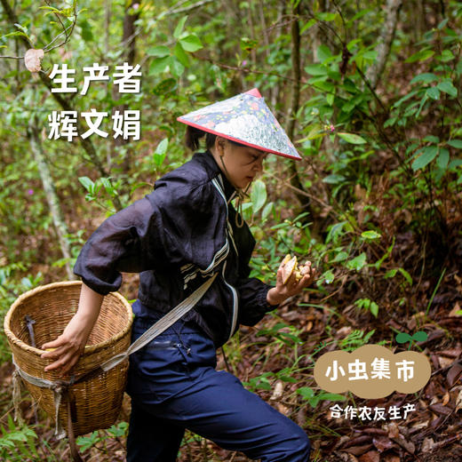 生态油鸡枞 200g/罐 | 合作农友生产，产自云南昆明，生产者：辉文娟 *【公平贸易农人定价】 商品图5